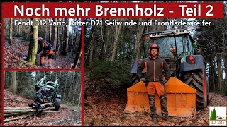 Noch mehr Brennholz  Teil 2  Fendt 312 Vario Ritter D71 Seilwinde und Frontladergreifer [upl. by Adnarrim]