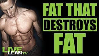 FAT CELLS THAT ACTUALLY BURN BODY FAT HOW TO CREATE THEM  LiveLeanTV [upl. by Ellebana]