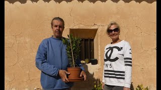 On with the kitchen and the hay challenge Restoration Finca Spain [upl. by Eada]