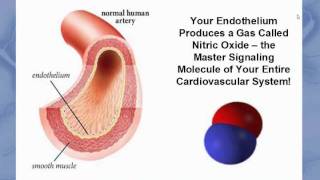 Endothelial Health Webinar [upl. by Nosyerg]