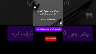 Urdu quotes urdu poetry shorts urdupoetry poetry islamicstoriesinurduandhindi [upl. by Ecneps920]