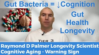 Cognition And Aging [upl. by Alat]