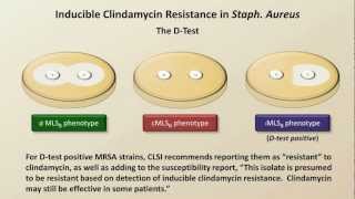 Antibiotic Resistance Antibiotics  Lecture 9 [upl. by Zebada]