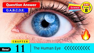 The Human Eye 👀 Dav Class 8 Science Chapter 11 Question Answer  Dav Public School  QABCDE [upl. by Hittel]