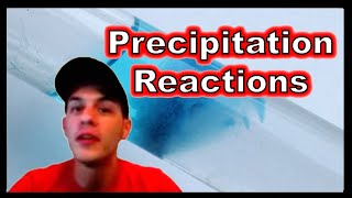 Precipitation Reactions [upl. by Berke]