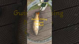 An afternoon family fishing at Gwinear fishing lakes Newquay vanlife visitcornwall newquay [upl. by Elfstan]