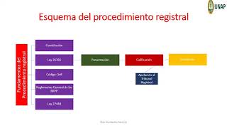 Procedimiento registral Una aproximación [upl. by Nwadrebma680]