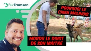 MON CHIEN MALINOIS GROGNE ET MORD [upl. by Elmira66]