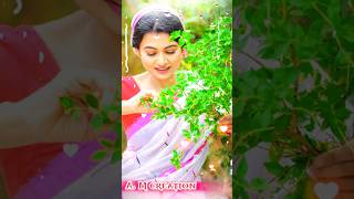 Sonamoni new adivasi baganiya song 2024 adivaasisongsong jhumursongs 2024 adivasi jhumur video [upl. by Adnahsat]