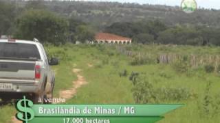 FAZENDA À VENDA EM BRASILÂNDIA DE MINAS  MG COM 17000 HECTARES [upl. by Onairelav]