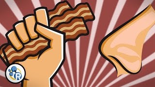 Why Does Bacon Smell So Good [upl. by Manton]