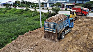 Amazing new project update land with DumpTruck carrying soil to fill land operation by Komatsu Dozer [upl. by Imiaj]