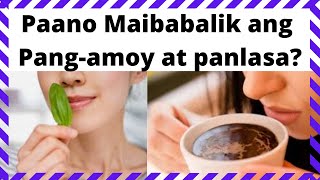 Paano Maibalik ang PangAMOY at PANLASA Bakit nawala  TIPS amp HOME Remedy [upl. by Stephen888]