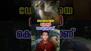 ഡോഡോയെ കൊന്നതല്ല കൊല്ലിച്ചതാണ് about dodo extension malayalam [upl. by Dnomrej]