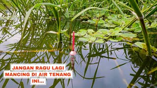 Awalnya Ragu Mancing Di Sungai Kecil Ini Ternyata dihuni ikan nila besar [upl. by Lanor]