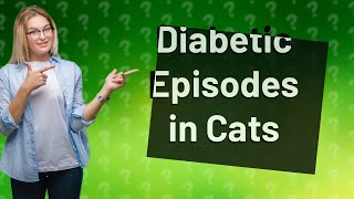 What does a diabetic episode look like in a cat [upl. by Rorke]