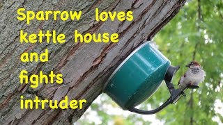 How to make ● A SIMPLE BIRD HOUSE [upl. by Kirk]