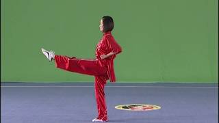 Wushu footwork and wushu leg techniques [upl. by Range]