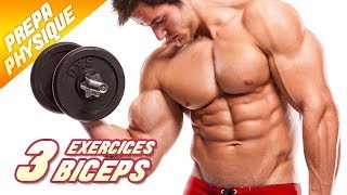 3 EXERCICES POUR AVOIR DES BICEPS ÉNORMES [upl. by Ttirrej]