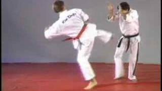 Hapkido side kick defense [upl. by Harday]