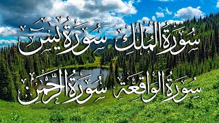 Surah Yaseen ArRahman  Al waqiah  Al Mulk  Beautiful recitation by Sheikh Abbadi houssem eddine [upl. by Archambault]