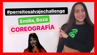 🐕PerreitoSalvajeChallenge🐕 Emilia Boza  Coreografía  WandyDance [upl. by Aysahc]