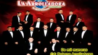 De mil maneras  La Arrolladora Banda el Limón [upl. by Emmi394]