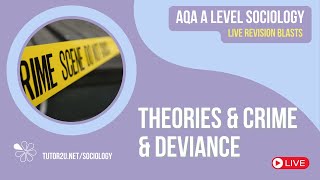 Theories of Crime amp Deviance  AQA A Level Sociology Revision for 2024 [upl. by Ataymik]