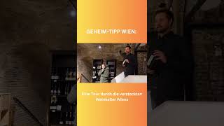 🍷 Ich trink nen Wein vielleicht 😍 reisen urlaub geheimtipp wien weinchen trendingshorts [upl. by Perrine163]