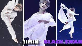 BTS Jimin  Beautiful Black Swan Dance [upl. by Llenej]