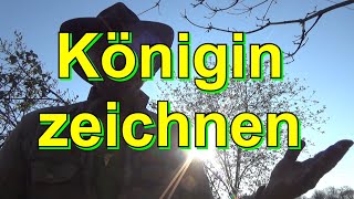 Königin finden und zeichnen [upl. by Nagem]