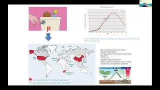 P2GreeN Online Workshop Italy nitrogen cycle and optimisation of the use of fossil phosphorus [upl. by Irek]