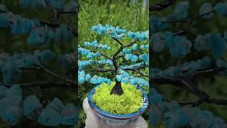 apatite appreciationtree bonsai handmade gemstones [upl. by Aivad]