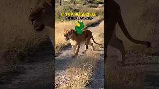 🚗💨 Entdecke Niedersachsen Von 🦁 SerengetiPark bis ⛏️ Rammelsberg  Abenteuer und Fun 🏰 reise [upl. by Retsam786]