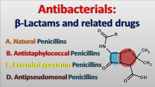 Antibacterials  Betalactam antibiotics and related drugs [upl. by Lacie]