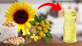 How Vegetable Oil Is Made [upl. by Glarum]