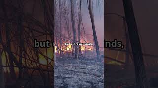 Wildfires Natures Fury Unleashed firstresponders fire [upl. by Alywt]