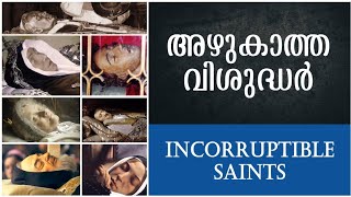 അഴുകാത്ത വിശുദ്ധർ  Incorruptible Saints  Incorruptible bodies  Catholic Saints  Christian [upl. by Ecirtap]