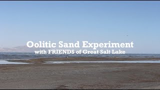 Oolitic Sand Experiment [upl. by Ayanet897]