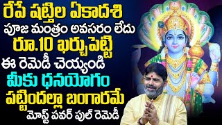 Shattila Ekadashi 2024  రేపే ష‌ట్తిల ఏకాదశి ఈ రెమెడీ చేస్తే Shattila Ekadashi Remedies  TSW [upl. by Bakemeier512]