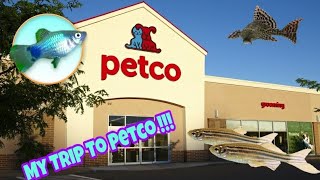 My Trip To Petco Plus Buying new fish for Community Tank [upl. by Lertnom]