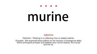 How to pronounce murine  Vocab Today [upl. by Lishe]