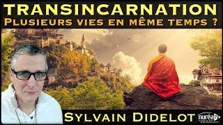 « Transincarnation  Plusieurs vies en même temps  » avec Sylvain Didelot [upl. by Milone]