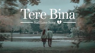 Tere Bina Sad Song 💔  Sad Love Song Hindi  Break up Hindi Song [upl. by Nylednarb]