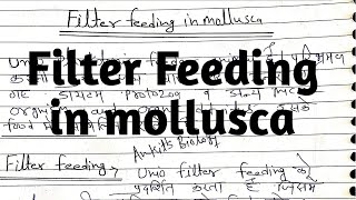 Filter Feeding in mollusca zoology notes [upl. by Onil]