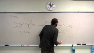 Prodrug MiniLecture 002  LDOPA to Dopamine [upl. by Eeloj]