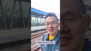 桃園最寂寞的火車站｜新富站 Xinfu｜無人招呼站｜僅設有候車月台而無站員 [upl. by Schecter]