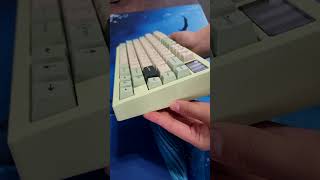 The best budget gaming keyboard ever [upl. by Harriette579]