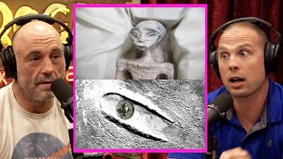 New Recovered ALIEN Remains  Joe Rogan amp David Grusch [upl. by Mail]