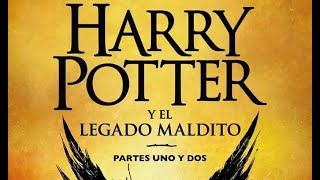 Harry Potter Y El Legado Maldito Acto 1 Escenas 1  2 AUDIOLIBRO [upl. by Gladi]